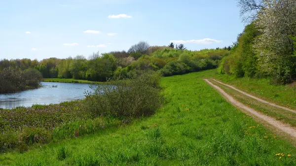 stock image View of dirt road in countryside near the pond. Rural spring landscape with empty countryside dirt road.