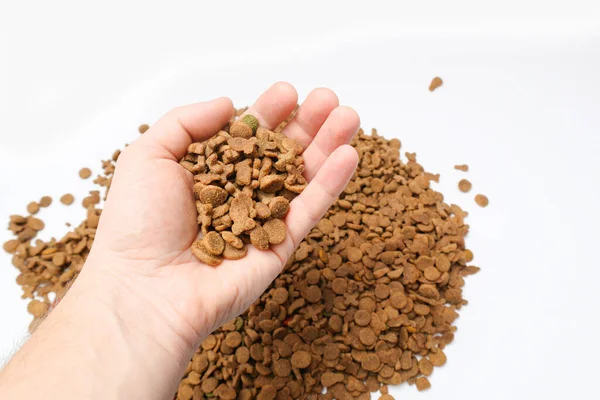Hand with dry pet food against a pile of dry food on a white background. View from above.