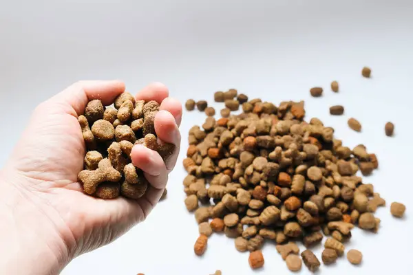 Dry dog food in a male hand against the pile of dry pet food background.