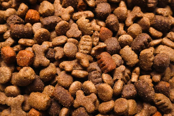 Dry dog food pellets for background. Top view of high quality dog dry food. Pet food.