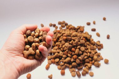 Erkek elinde kuru köpek maması, arka plandaki kuru hayvan maması yığınına karşı..