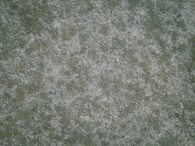 Beyaz, eski beton duvarlı arka planlar desenli. Yeşil yosun mermisi ile kaplı beton yüzeyi.