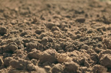 Yer yüzeyi. Doğal arka planı kapat. Toprak dokusu arka planı. Doğurgan toprak dokusu. Bahçe sezonu.