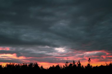 Gün batımının görkemli arka planında yumuşak renkli bulutlar var. Ağaçların tepesindeki kırsalda renkli, muhteşem günbatımı, güzellik arka planı.
