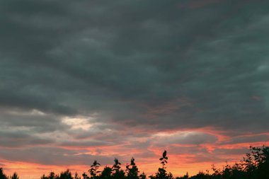 Gün batımının görkemli arka planında yumuşak renkli bulutlar var. Ağaçların tepesindeki kırsalda renkli, muhteşem günbatımı, güzellik arka planı.