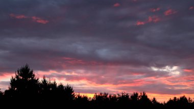 Gün batımının görkemli arka planında yumuşak renkli bulutlar var. Ağaçların tepesindeki kırsalda renkli, muhteşem günbatımı, güzellik arka planı.