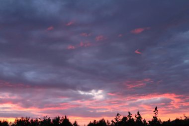 Gün batımının görkemli arka planında yumuşak renkli bulutlar var. Ağaçların tepesindeki kırsalda renkli, muhteşem günbatımı, güzellik arka planı.