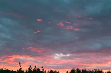 Akşam bulutları. Gece fırtınasından önce güzel kırmızı gün batımı. Ağaçların silueti, renkli bir günbatımı gökyüzünün arka planına karşı.