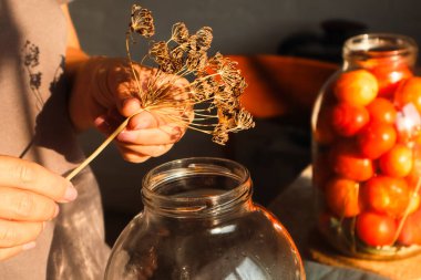 Organik sebzeleri kavanozlarda saklıyorum. Kadın elinde konserve domates kavanozu tutuyor. Ev yapımı konserve sebzeler.