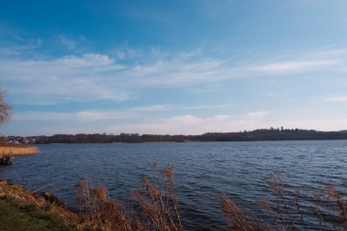 Gölün yanındaki ağaç. Gölde arka plan günü manzarası. Ağaçlı sakin bir göl. Güneşli sakin göl