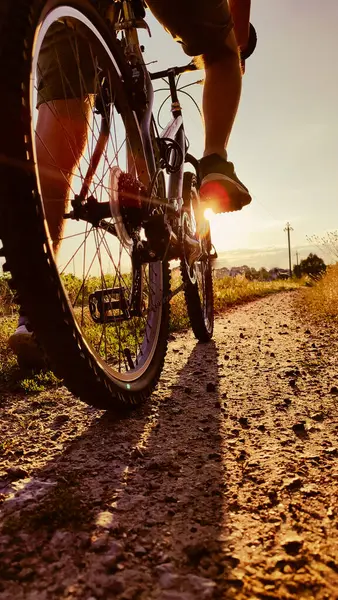 Bisikletçi dağ bisikleti sürüyor gün batımı kırsal alanda. Arkadan bak. Kırsalda bisiklete binmek. Açık havada bisiklet sporu. Genç adam gün batımında sağlıklı bisiklet sürmekten hoşlanıyor.