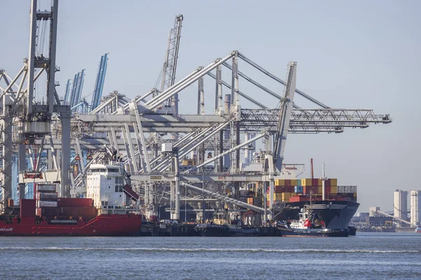 Rotterdam, Hollanda - 2022-02-26: Rotterdam limanındaki ECT konteyner terminalinde nakliye malları