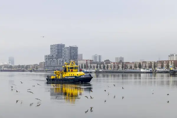 Rotterdam, Hollanda - 10-23-2024: Maashaven limanındaki Rotterdam Liman Devriye Gemisi