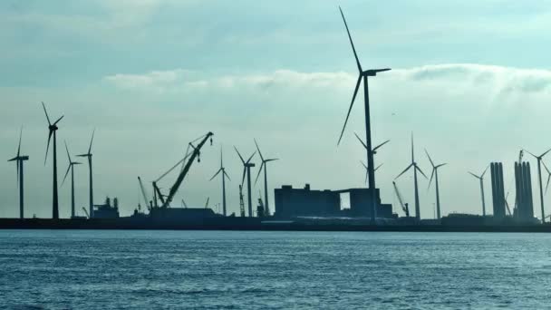 Elektrik Santrali Eemtraşlı Eemshaven Enerji Santrali Hollanda Kömürle Çalışan Bir — Stok video