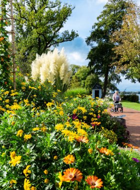 Kötü Zwischenahn, Ammerland. Zwischenahn Denizi 'ndeki Spa Parkı ve cennet gezisi.