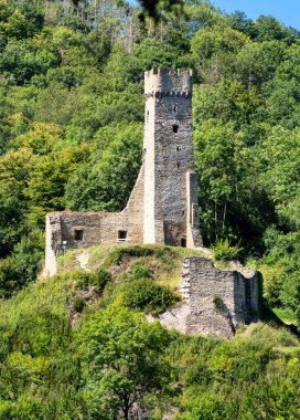 Monreal 'deki Philippsburg harabelerinin manzarası, ormanlık yamaçlarla çevrili.