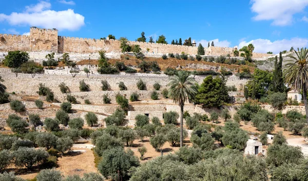 Pohled Starobylý Židovský Hřbitov Olivové Hoře Jeruzalémě Jasného Slunečného Dne — Stock fotografie