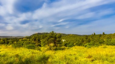 İsrail 'in doğası, panoramik manzara, açık yaz günü, mavi gökyüzü