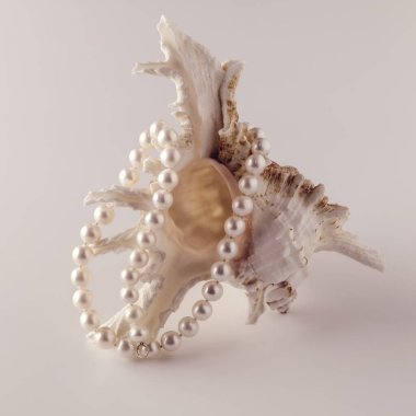 Deniz kabuğunda açık bej incilerden yapılmış güzel kadın boncukları, kadın mücevherleri.