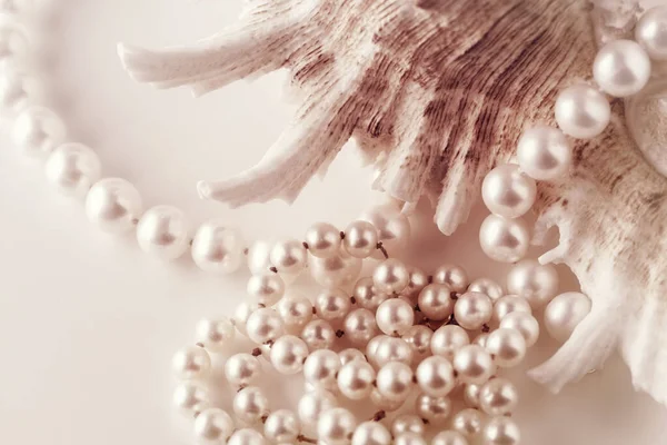 貝殻の上にライトベージュの真珠で作られた美しい女性の真珠のビーズ 女性のジュエリー — ストック写真