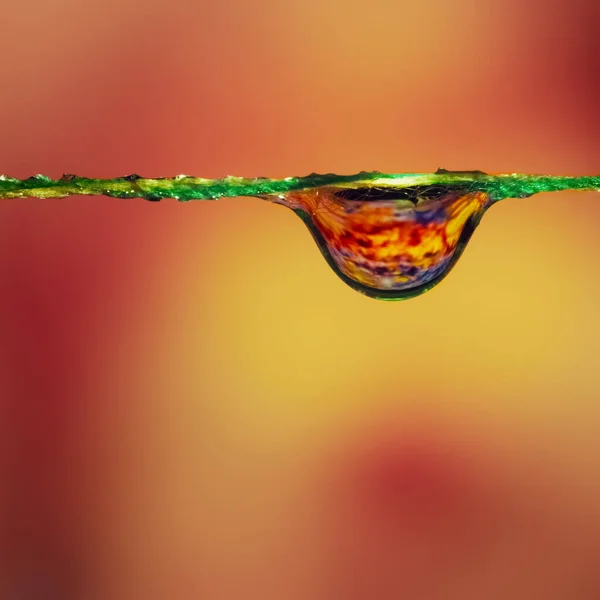 Een Druppel Water Hangt Aan Een Touwtje Een Oranjegele Achtergrond — Stockfoto