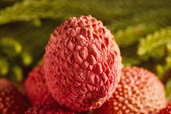 Lichia Madura Fruta Exótica Fundo Galhos Coníferas Verdes Borrão Close — Fotografia de Stock