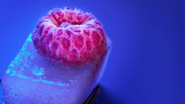 Buz küpünde donmuş ahududu, güzel, alışılmadık ışıklandırma, makro fotoğraf, yemek sanatı fotoğrafçılığı.