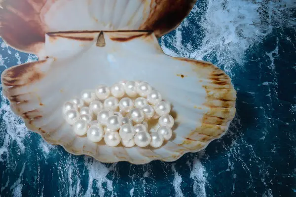 natural white pearls on the shell , the concept of gifts of the sea , a gift to a beloved woman , jewelry for a woman