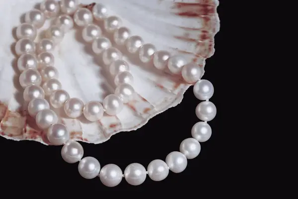 beautiful women\'s necklace made of white natural pearls with a clam shell on a black matte background