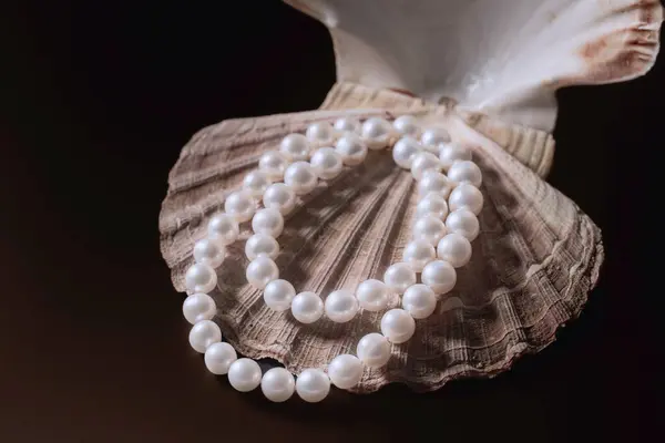 beautiful women\'s necklace made of white natural pearls with a clam shell on a black matte background, the concept of women\'s jewelry , beauty and fashion