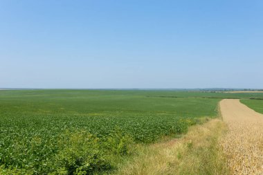 Açık mavi gökyüzünün altındaki uçsuz bucaksız yeşil alanlar muhteşem bir doğal manzara yaratır.