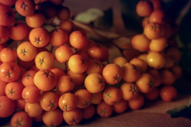 Olgun kızılcık üzümleri yakın plan çekimde, seçici odak noktasında.