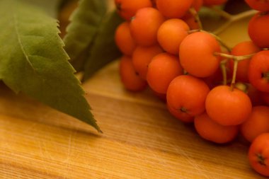 Tahta bir dalda yeşil yapraklı olgun kızılcık üzümlerinin yakın plan fotoğrafı.