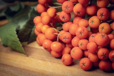 Tahta bir dalda yeşil yapraklı olgun kızılcık üzümlerinin yakın plan fotoğrafı.