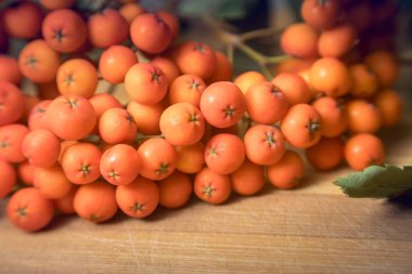 Tahta bir dalda yeşil yapraklı olgun kızılcık üzümlerinin yakın plan fotoğrafı.