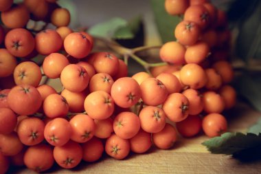 Tahta bir dalda yeşil yapraklı olgun kızılcık üzümlerinin yakın plan fotoğrafı.