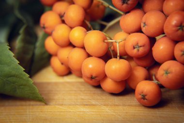 Tahta bir dalda yeşil yapraklı olgun kızılcık üzümlerinin yakın plan fotoğrafı.