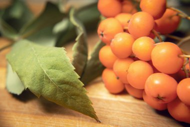 Tahta bir dalda yeşil yapraklı olgun kızılcık üzümlerinin yakın plan fotoğrafı.