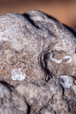 Creative abstract macro photography of stone texture with a low depth of field can be used as a backdrop clipart