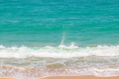 Kumlu bir sahil, masmavi bir dalga yaklaşıyor, beyaz deniz manzaralı.