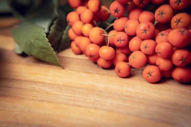 Tahta bir dalda yeşil yapraklı olgun kızılcık üzümlerinin yakın plan fotoğrafı.