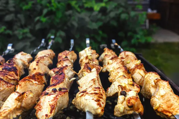 Lezzetli, sulu et kebabı, mükemmel ızgara, yukarıdan çekilmiş, doğadaki sağlıklı yiyecek kavramı.