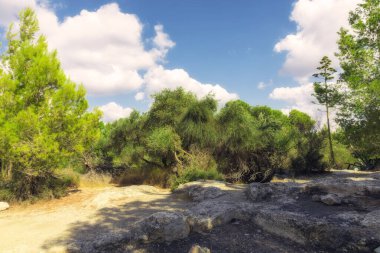 İsrail 'in doğusundaki Beit Shemes şehrinin yakınlarındaki Judean dağlarında güzel bir milli park.