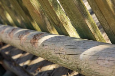 Güzel, soyut, ahşap bir arka plan ve alçak bir alan derinliği.