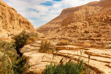 Wadi Arugot Ulusal Parkı İsrail 'in güney bölgesinde yer almaktadır ve çöl benzeri kayalık bir arazidir.