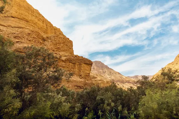 Wadi Arugot Ulusal Parkı İsrail 'in güney bölgesinde yer almaktadır ve çöl benzeri kayalık bir arazidir.
