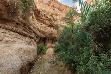 Wadi Arugot Akıntısı, İsrail 'de, Ein Gedi Doğa Koruma Alanı' nda, Ölü Deniz kıyısında.