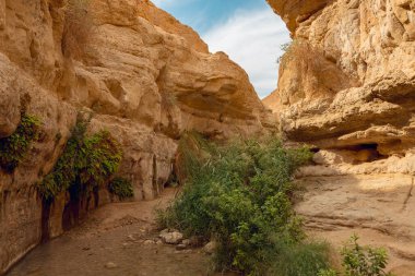 Wadi Arugot Akıntısı, İsrail 'de, Ein Gedi Doğa Koruma Alanı' nda, Ölü Deniz kıyısında.