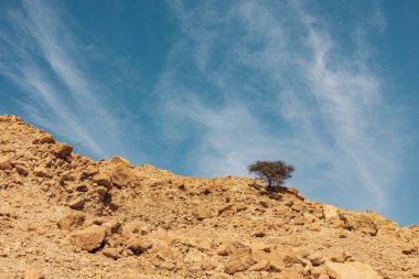 Wadi Arugot Ulusal Parkı İsrail 'in güney bölgesinde yer almaktadır ve çöl benzeri kayalık bir arazidir.