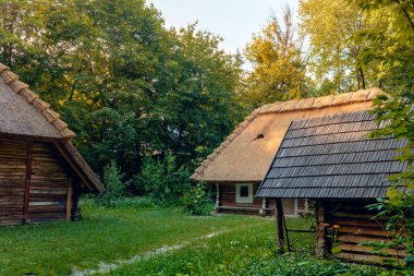 Lviv 'deki bir milli parktaki eski bir Ukrayna evi, Halk Mimarisi Müzesi ve Ukrayna' daki Everyday Life, Shevchenko denen adam.